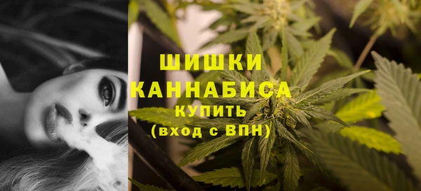 шишки Бугульма