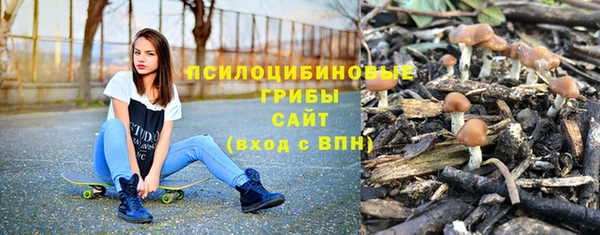 шишки Бугульма