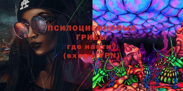 СК Бородино