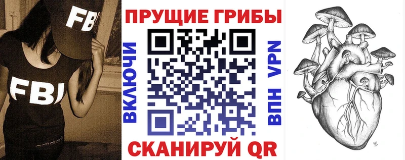 Галлюциногенные грибы Psilocybine cubensis  KRAKEN   Армавир  наркошоп 